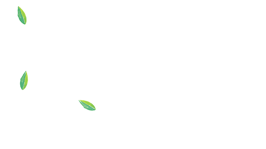 illustration de 3 feuilles vertes fond transparent