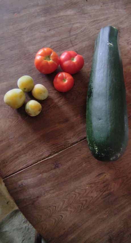 courgette 3 tomates et 4 prunes sur une table en bois